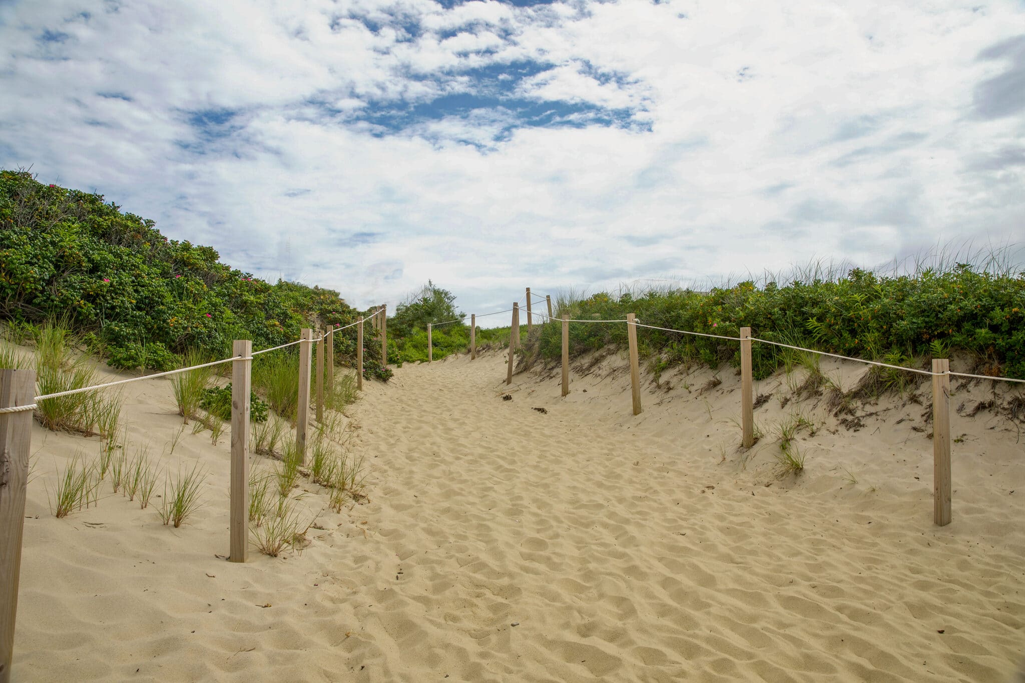 A Nantucket Beach Guide: 7 Stunning Coastal Spots to Enjoy